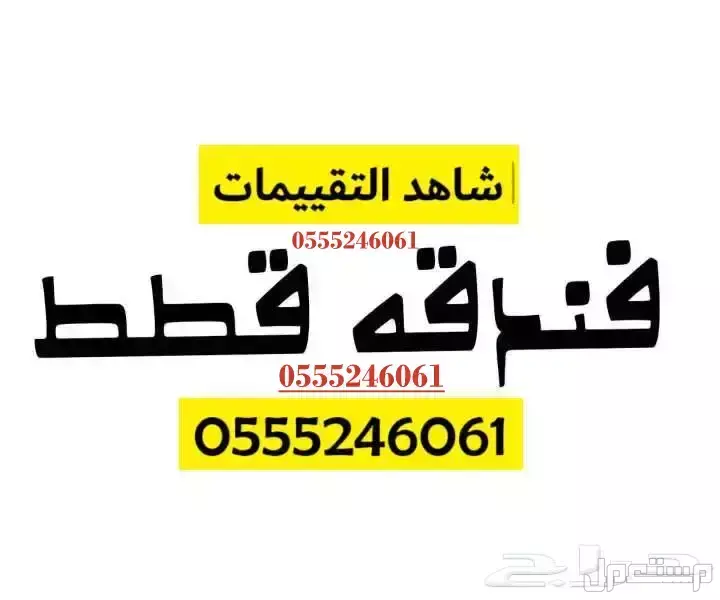 فندقة قطط  الرياض - وقت اجازتكم