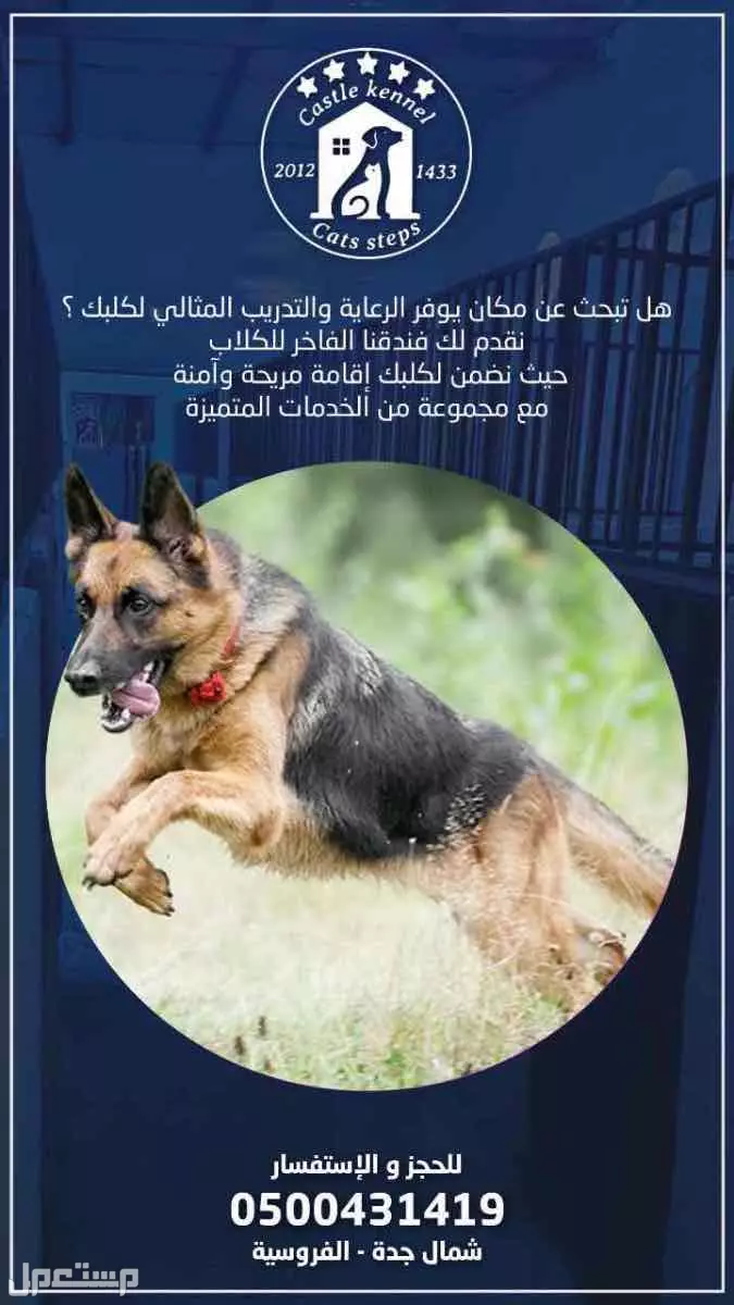 فندقة وتدريب كلاب بأسعار مناسبة