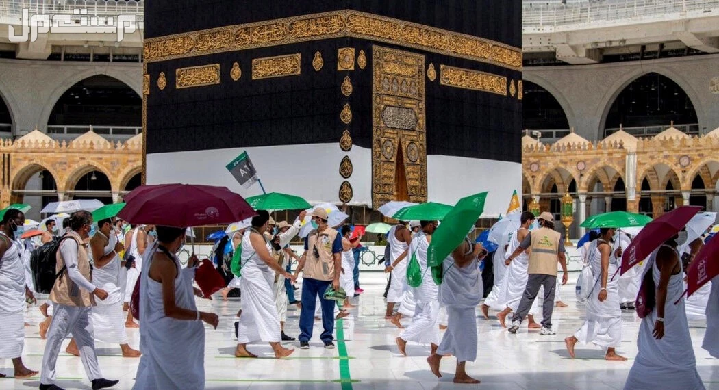 الشروط الصحية لحج 1446.. نصائح وإرشادات هامة للحجاج الاشتراطات الصحية المحدثة لموسم الحج 2025