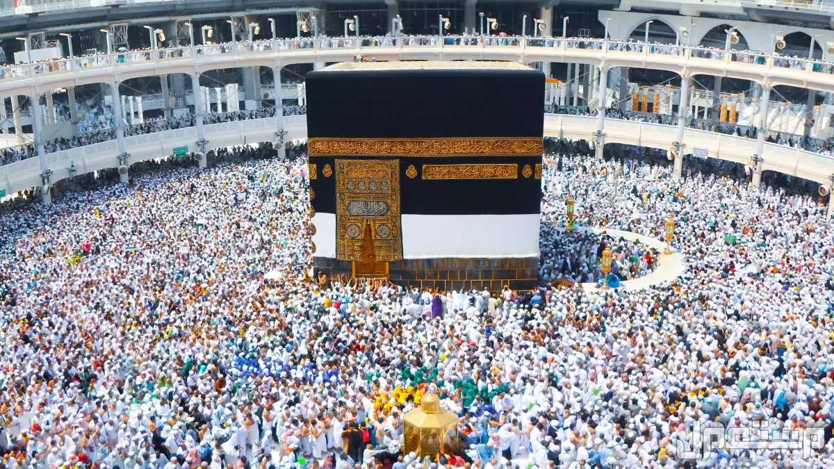 الشروط الصحية لحج 1446.. نصائح وإرشادات هامة للحجاج الشروط الصحية الجديدة للحجاج 2025