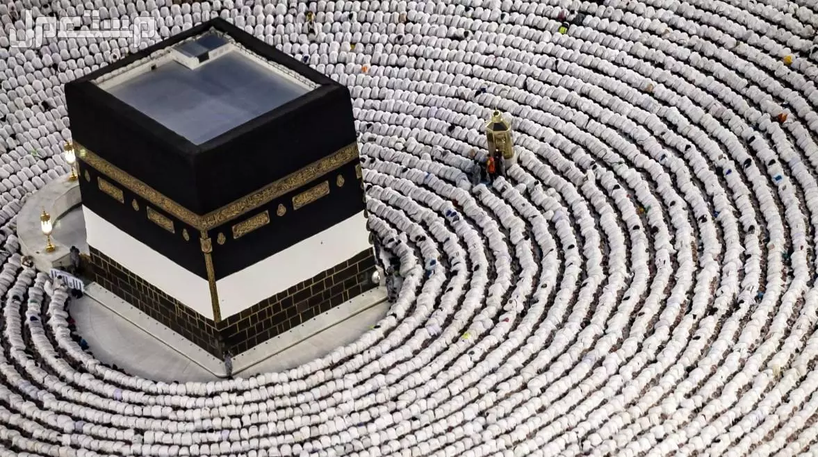 الشروط الصحية لحج 1446.. نصائح وإرشادات هامة للحجاج الاشتراطات الصحية المحدثة للحجاج 2025