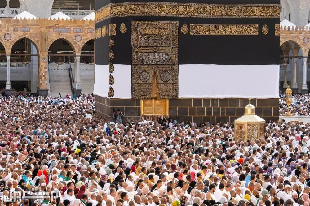 الشروط الصحية لحج 1446.. نصائح وإرشادات هامة للحجاج الاشتراطات الصحية للحجاج القادمين من الخارج
