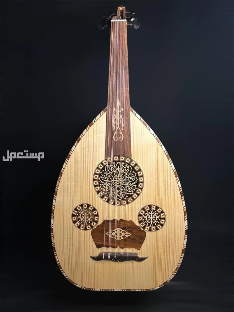 عود موسيقي سوبر لوكس ظهر من خشب سيكامور جديد للبيع