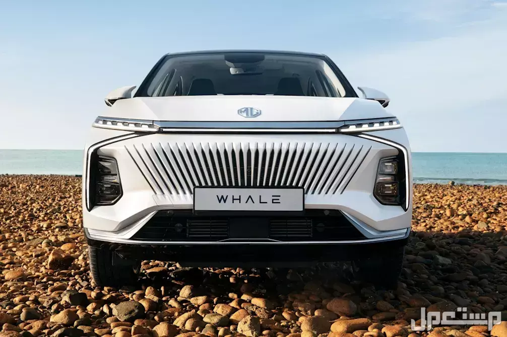 مقارنة بين جميع سيارات MG إم جي وأسعارها بالفئات.. 10 طرازات رائدة فئات سيارات MG إم جي whale