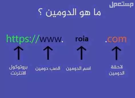 حجز دومين لمتجرك الالكتروني في الرياض بسعر ألف ريال سعودي