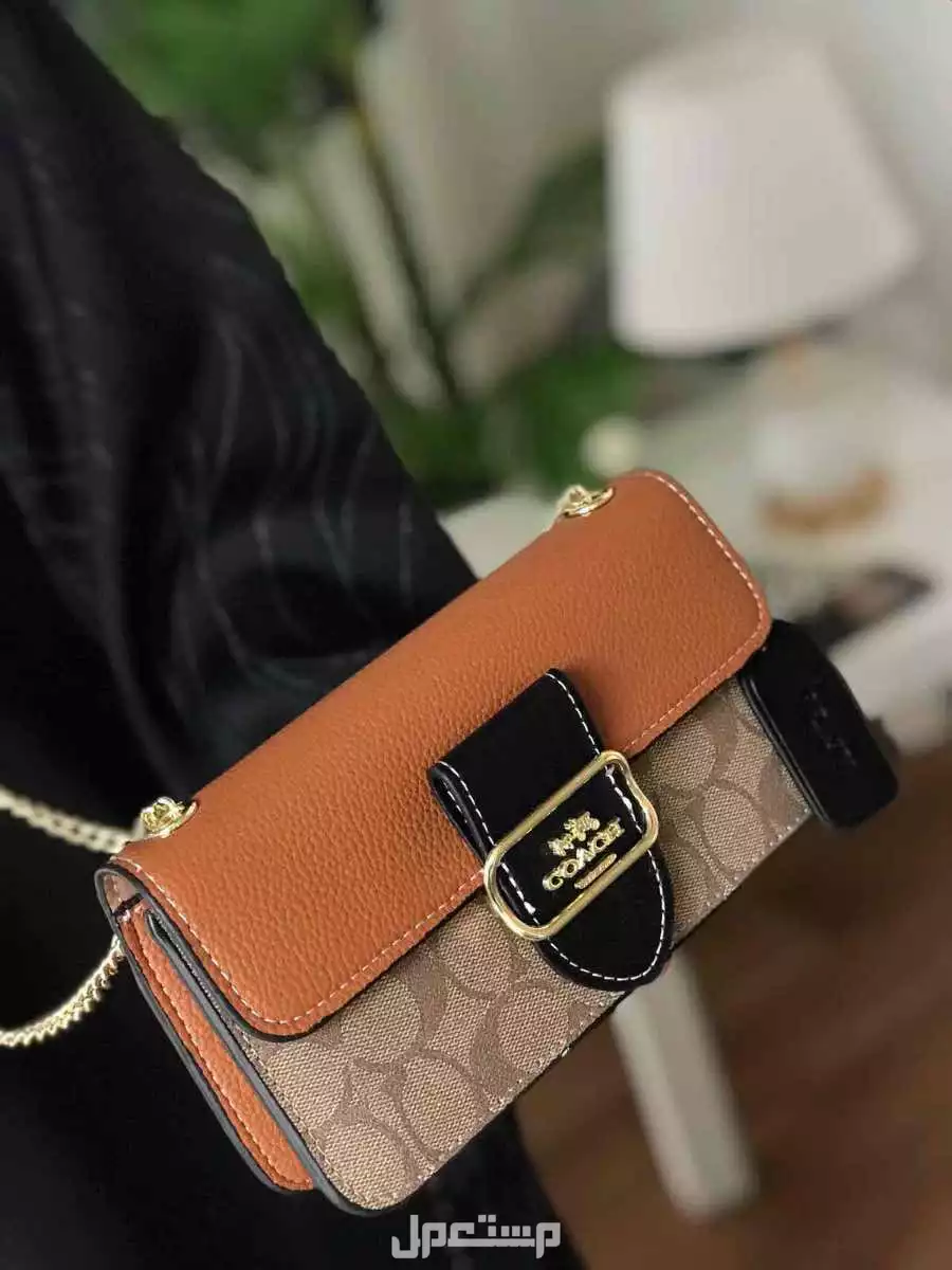 شنط ماركة كوتش ماستر كوالتي مع البكس في الرياض بسعر 200 ريال سعودي