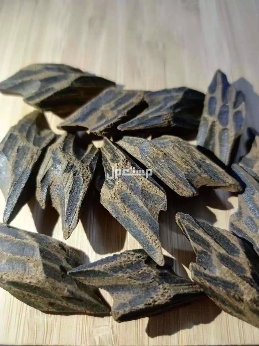 عود التايقر الفيتنامي الفاخر بسعر 50 ريال