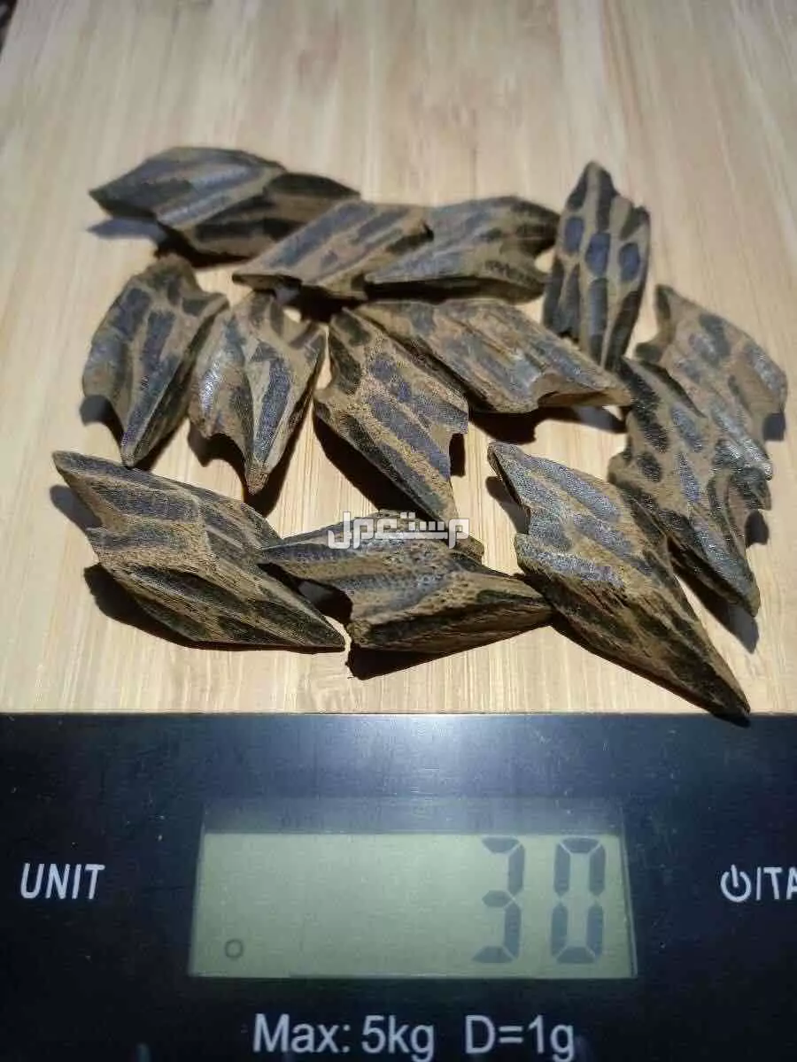 عود التايقر الفيتنامي الفاخر بسعر 50 ريال