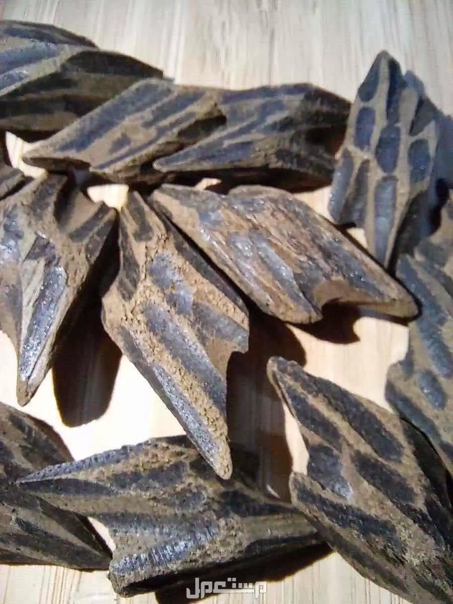 عود التايقر الفيتنامي الفاخر بسعر 50 ريال