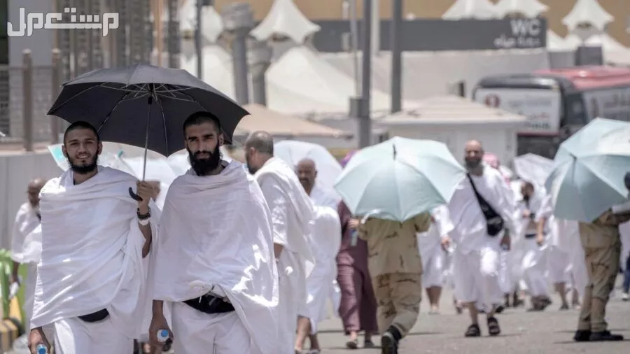 رابط حجز لقاح الحج 2025 - 1446.. إليك الشروط الكاملة حجاج بيت الله