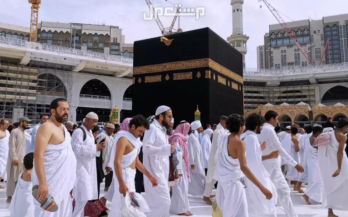 رابط حجز لقاح الحج 2025 - 1446.. إليك الشروط الكاملة حجز لقاح الحج 2025 - 1446