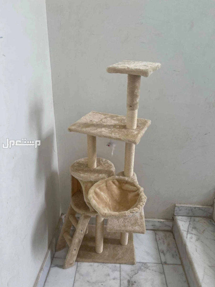 بيت قطط  في الرياض بسعر 78 ريال سعودي