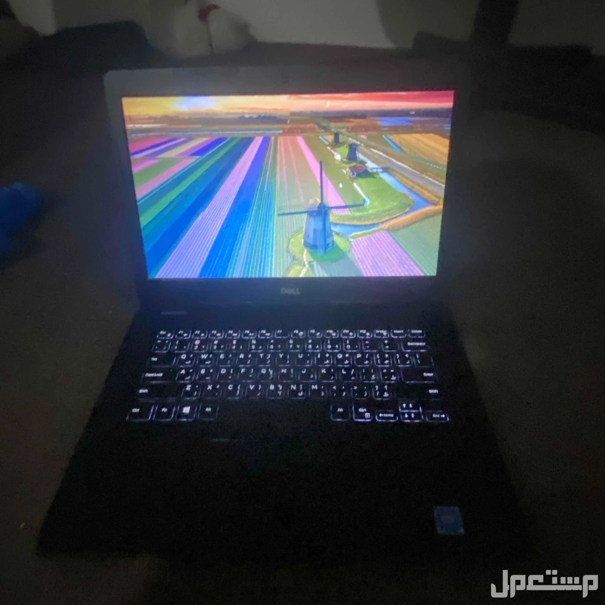 لابتوب ماركة ديل في الرياض على السوم