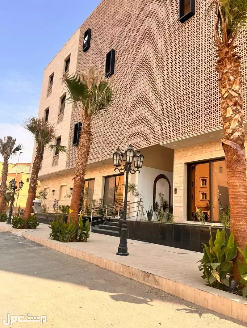 افضل مشاتل نخيل واشنطونياء بأسعار مناسبة