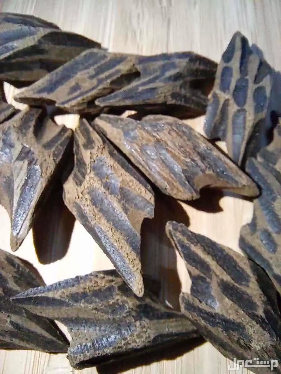 عود التايقر الفيتنامي درجة اولى الفاخر