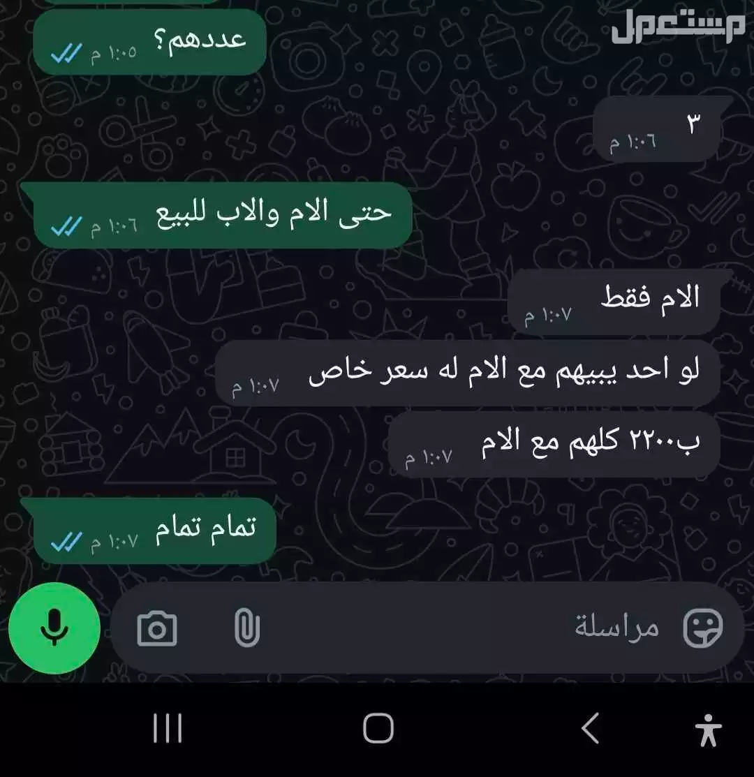 قطاوة مع عيالهم للبيع  في الرياض بسعر 2200 ريال سعودي