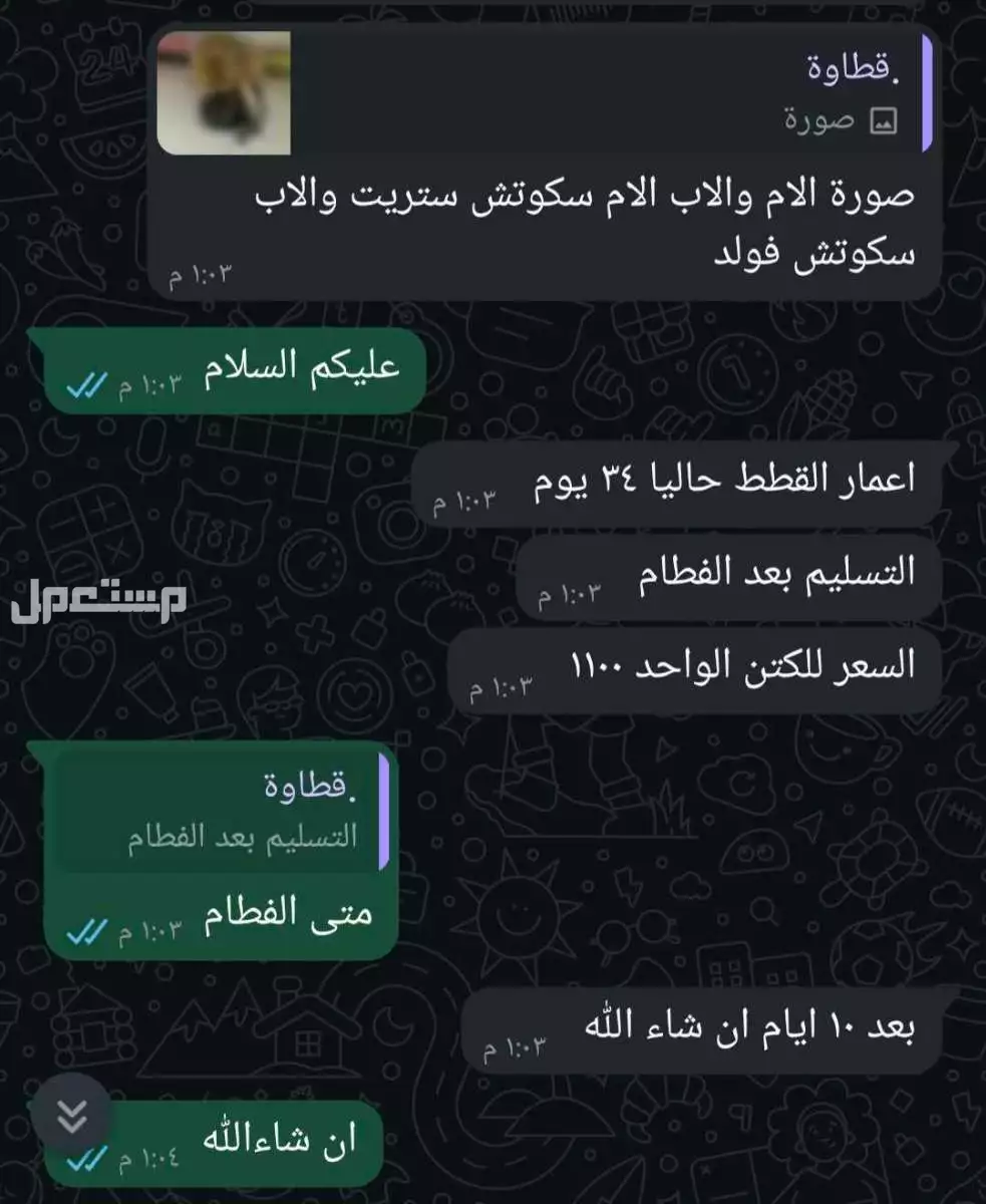 قطاوة مع عيالهم للبيع  في الرياض بسعر 2200 ريال سعودي