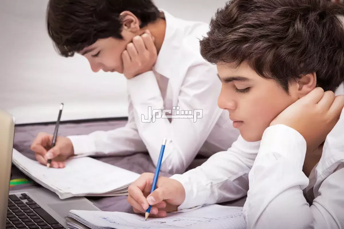 مواعيد دوام المدارس الصباحي 1446 في التوقيت الصيفي 2025 مواعيد دوام المدارس الصباحي 1446