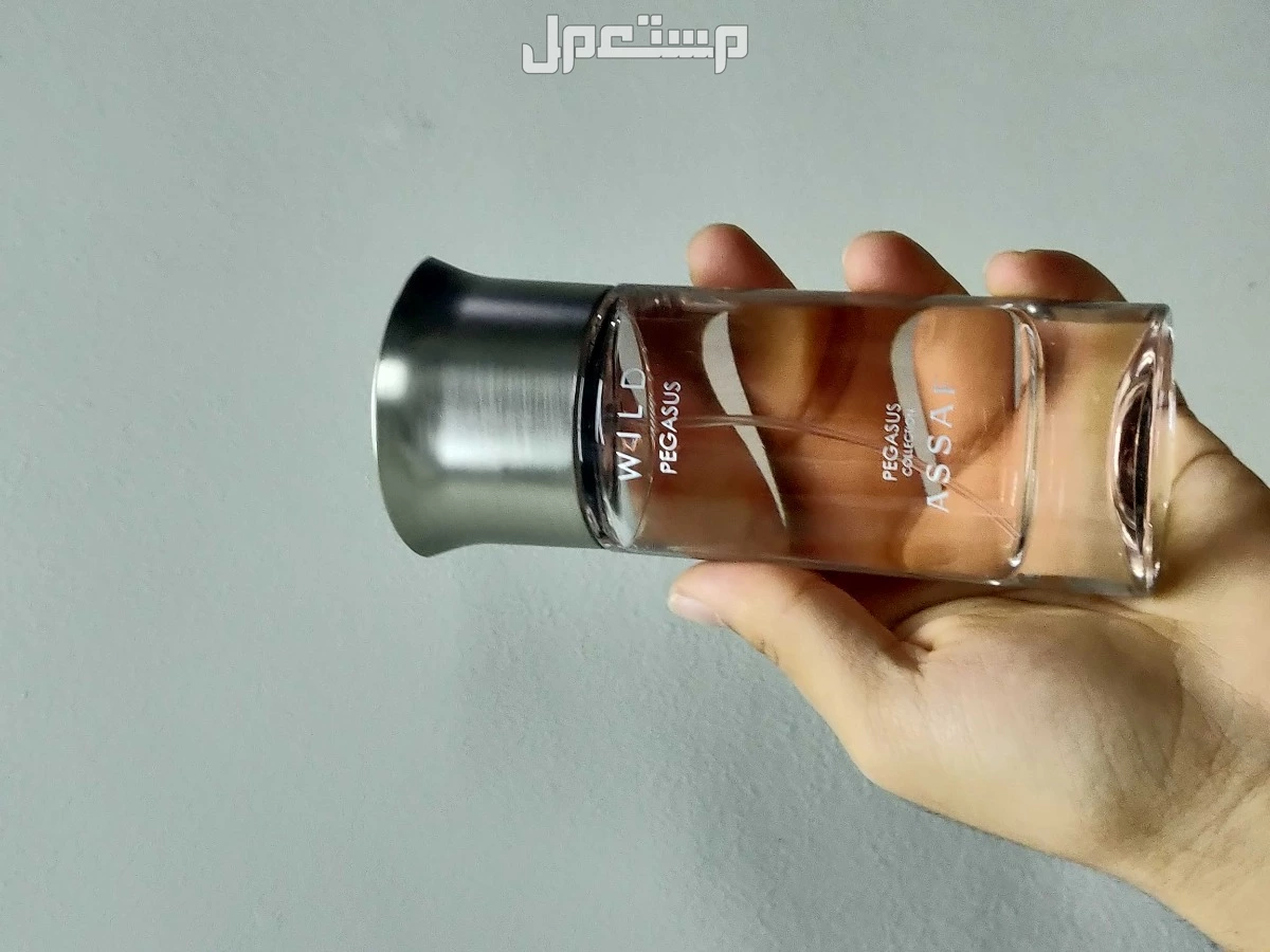 عطور عساف PROINO و WILD من مجموعة بيجاسوس