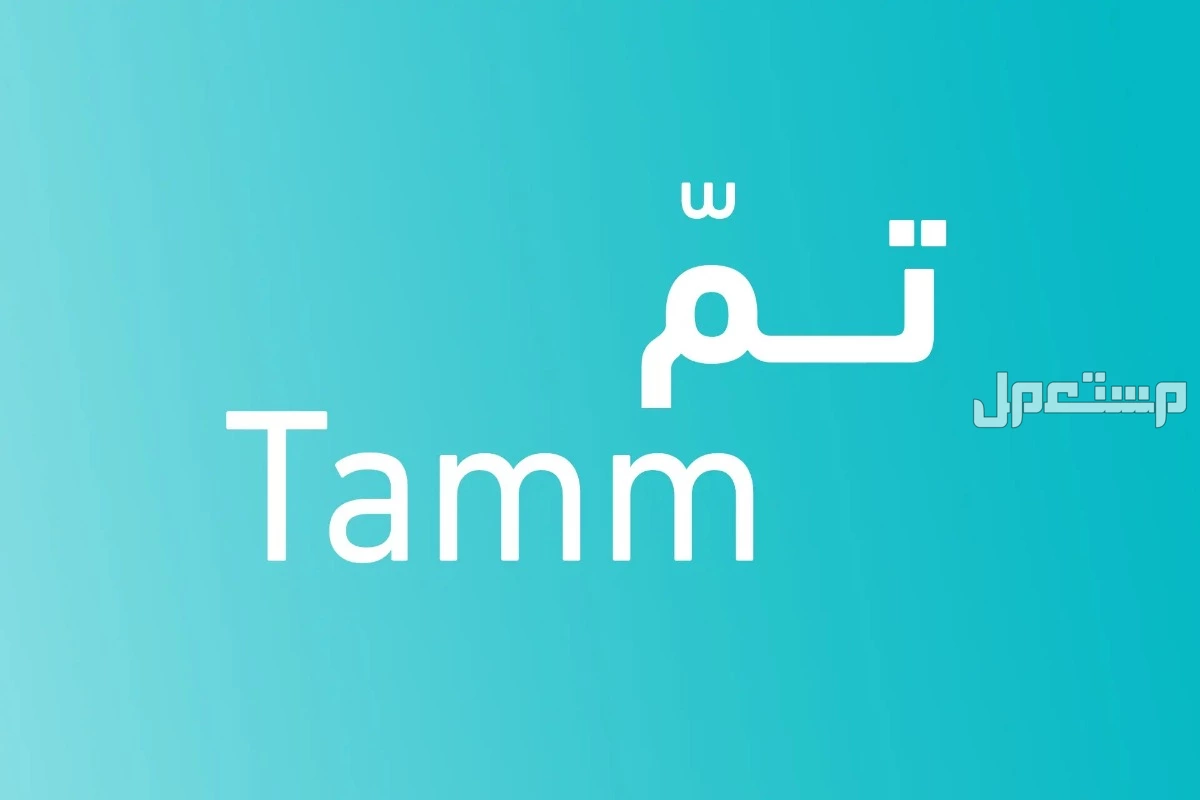 كيفية الاشتراك في خدمة تم للمرور في السعودية مع تفاصيل الرسوم ما هي خدمة تم Tamm المرورية