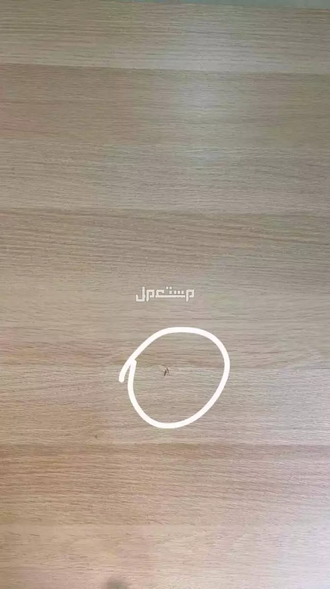 طاولة  في الرياض بسعر 150 ريال سعودي