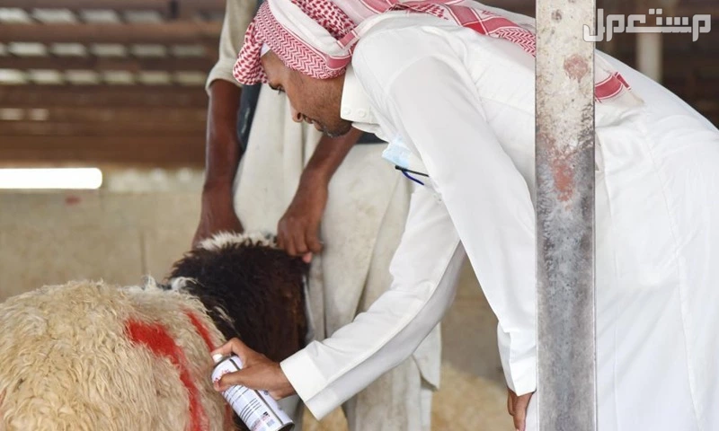 موعد عيد الأضحى 2025.. واجازة العيد للموظفين والطلاب 1446 وقفة عرفات 2025