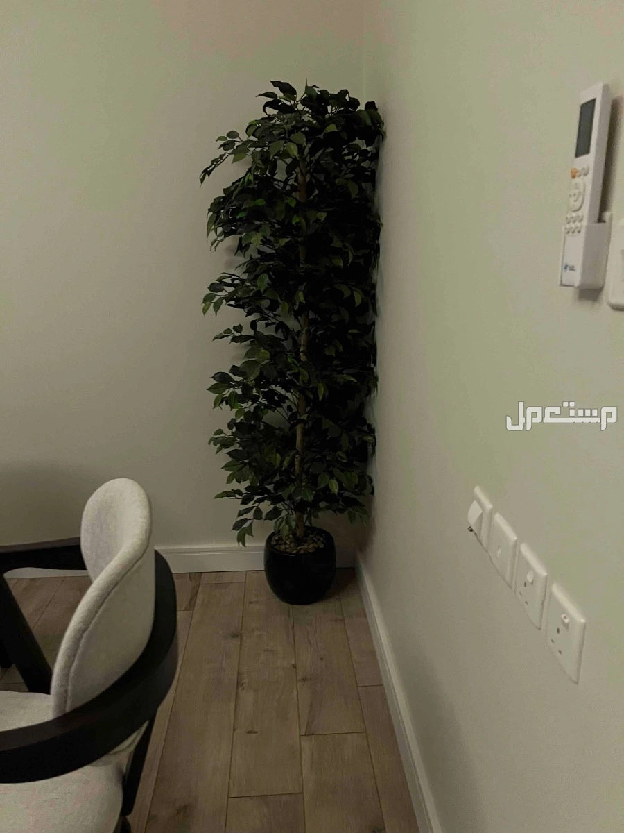 للبيع طاولة طعام وملحقاتها ب4000