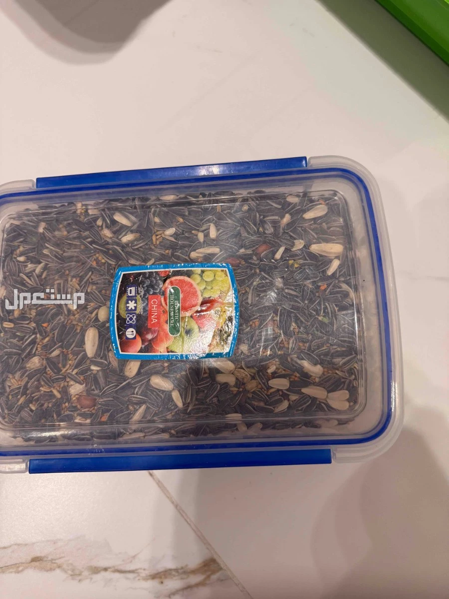 للبيع عصفور روز في الرياض بسعر 350 ريال سعودي