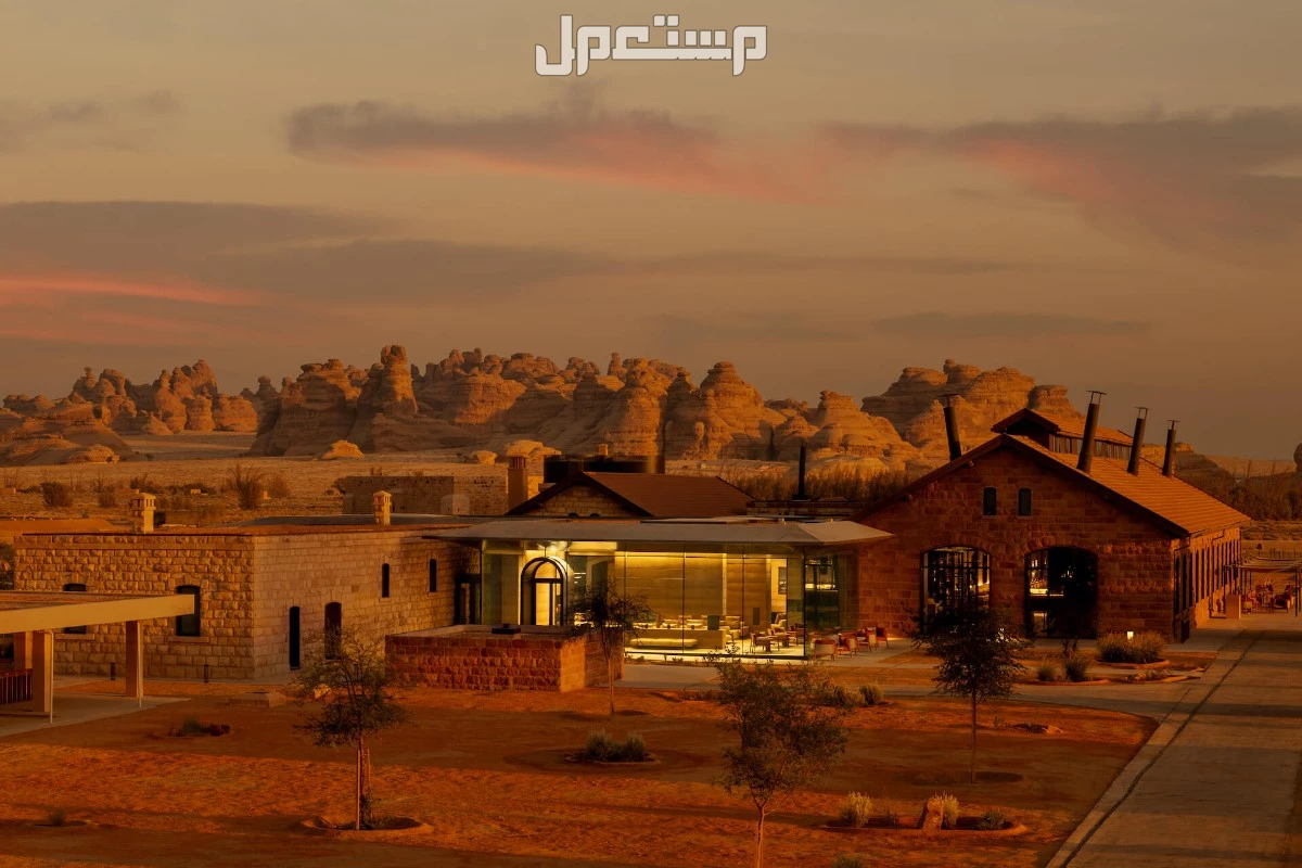 دليلك إلى أحدث الفنادق الفاخرة في السعودية 2025 (صور) فندق ذا تشيدي الحجر بالعلا