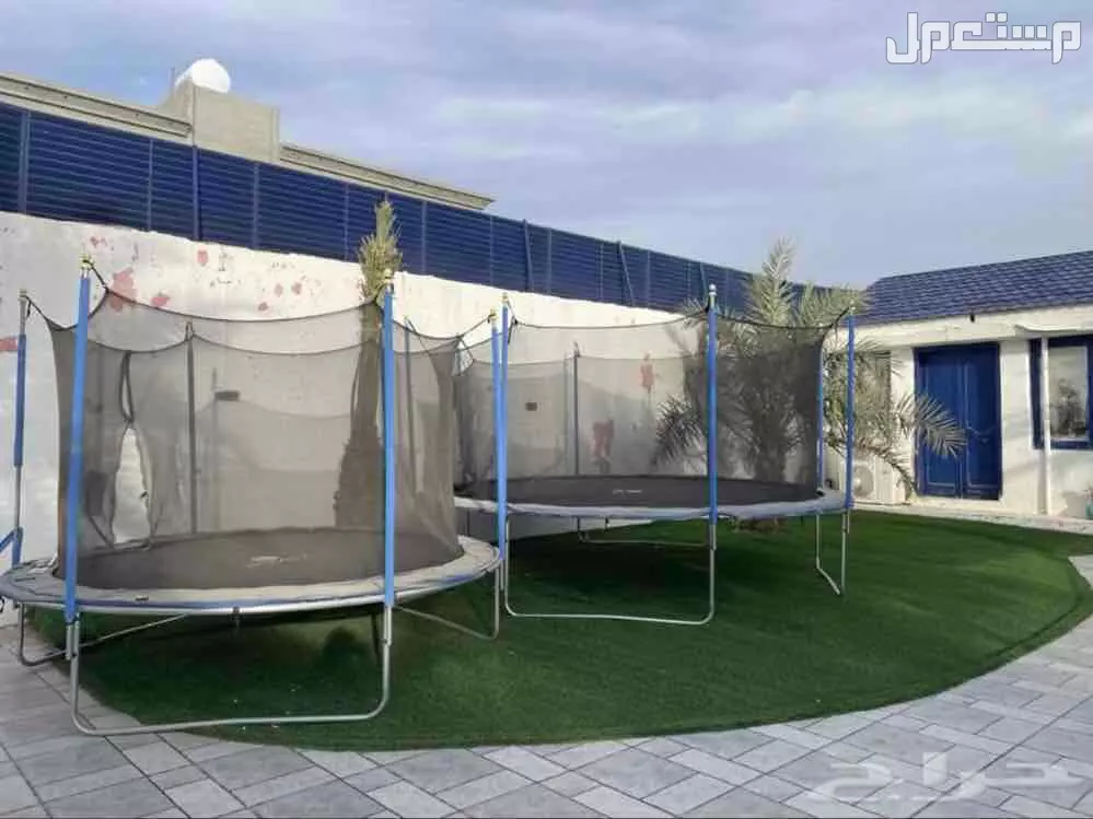 نطيطه (نقيزه) في المدينة المنورة بسعر 370 ريال سعودي
