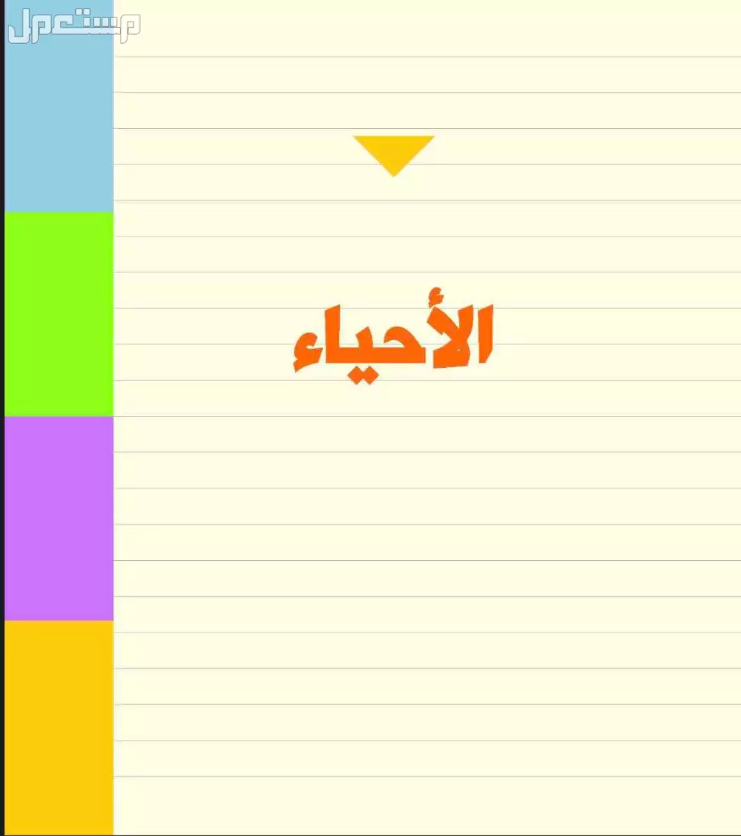 ملفات ناصر عبد الكريم في الرياض بسعر 20ربال