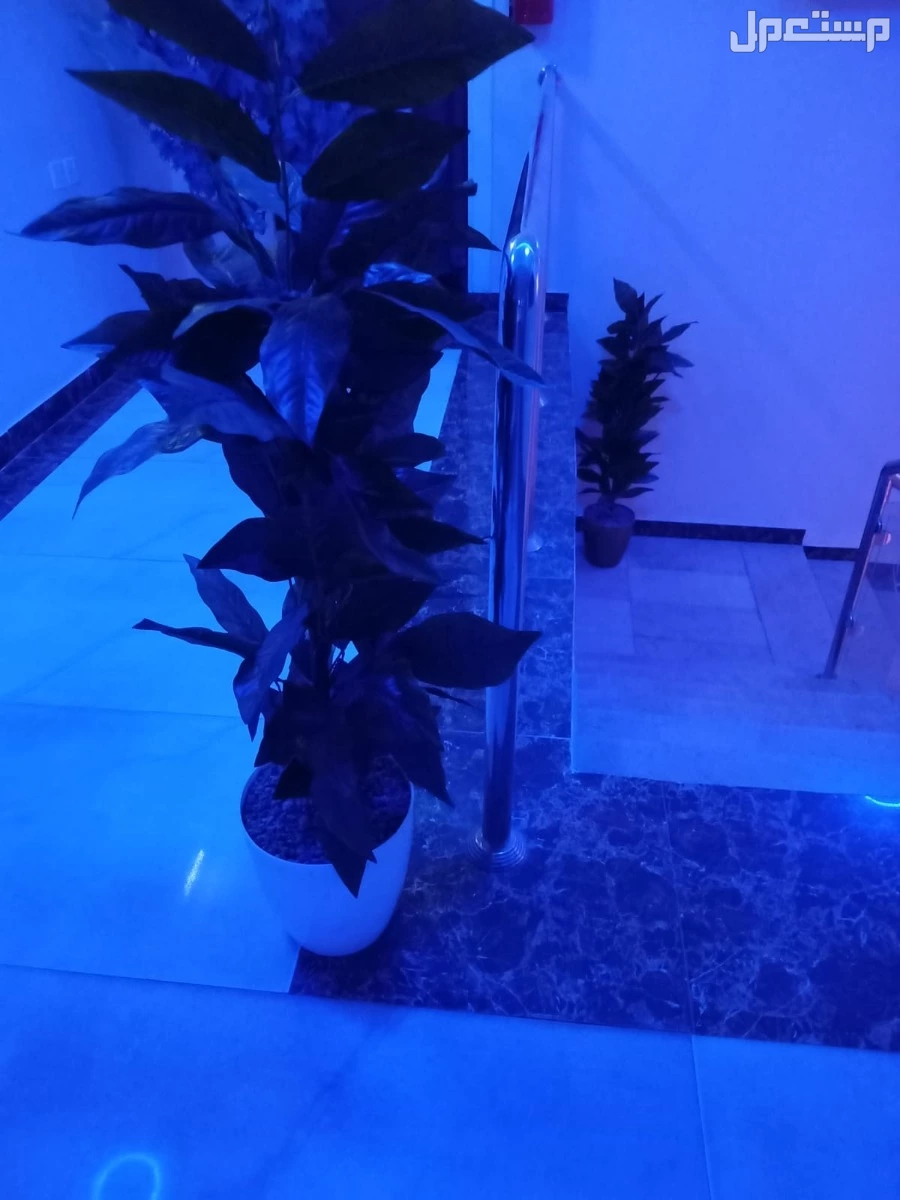 احجز مساج الان بالرياض افضل مختص فلبينى