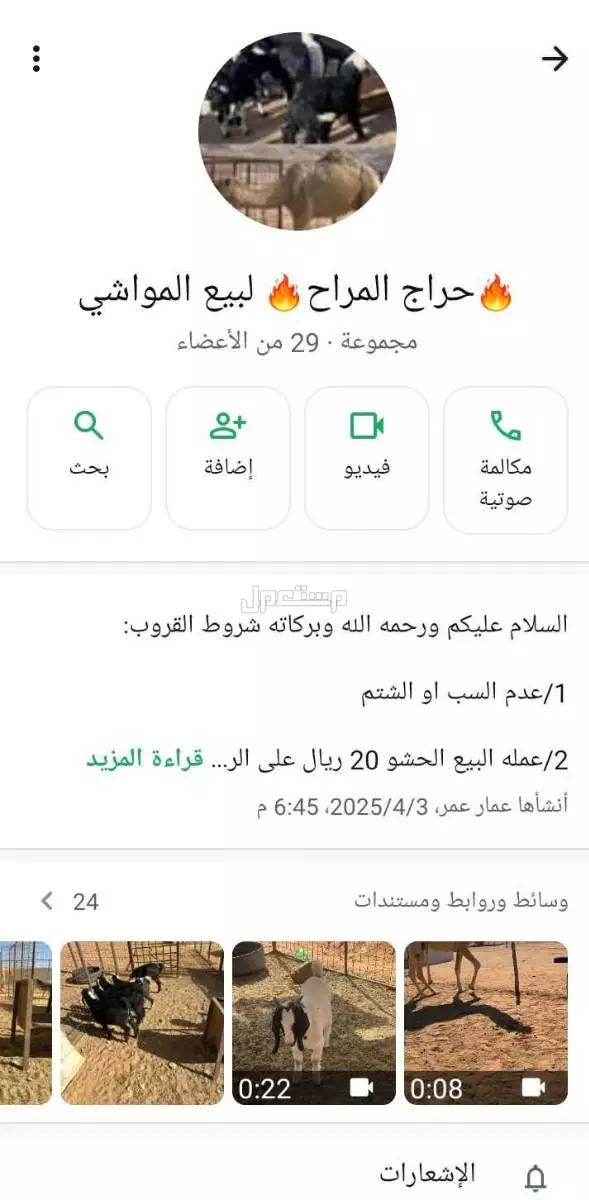 قروب بيع اغنام وحشو العلا وضواحيها حياكم الله