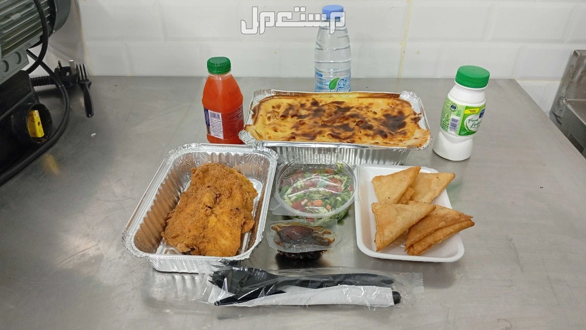 شركة فخر الصناع للوجبات الاعاشه