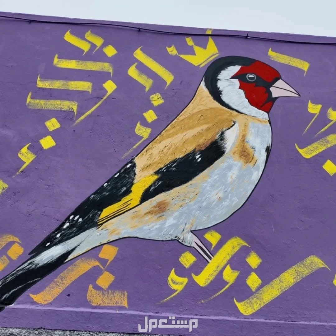رسام جرافيتي ونحات رسم بارز بجده