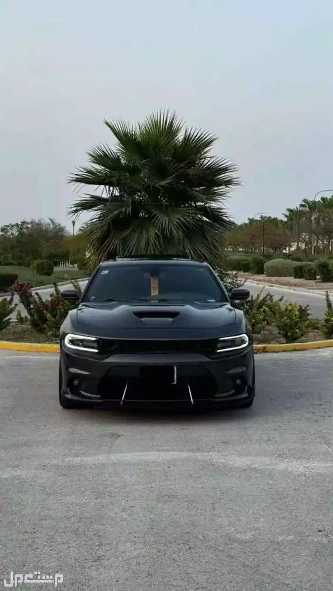 مندوب تشاليح دودج تشارجر ، مندوب