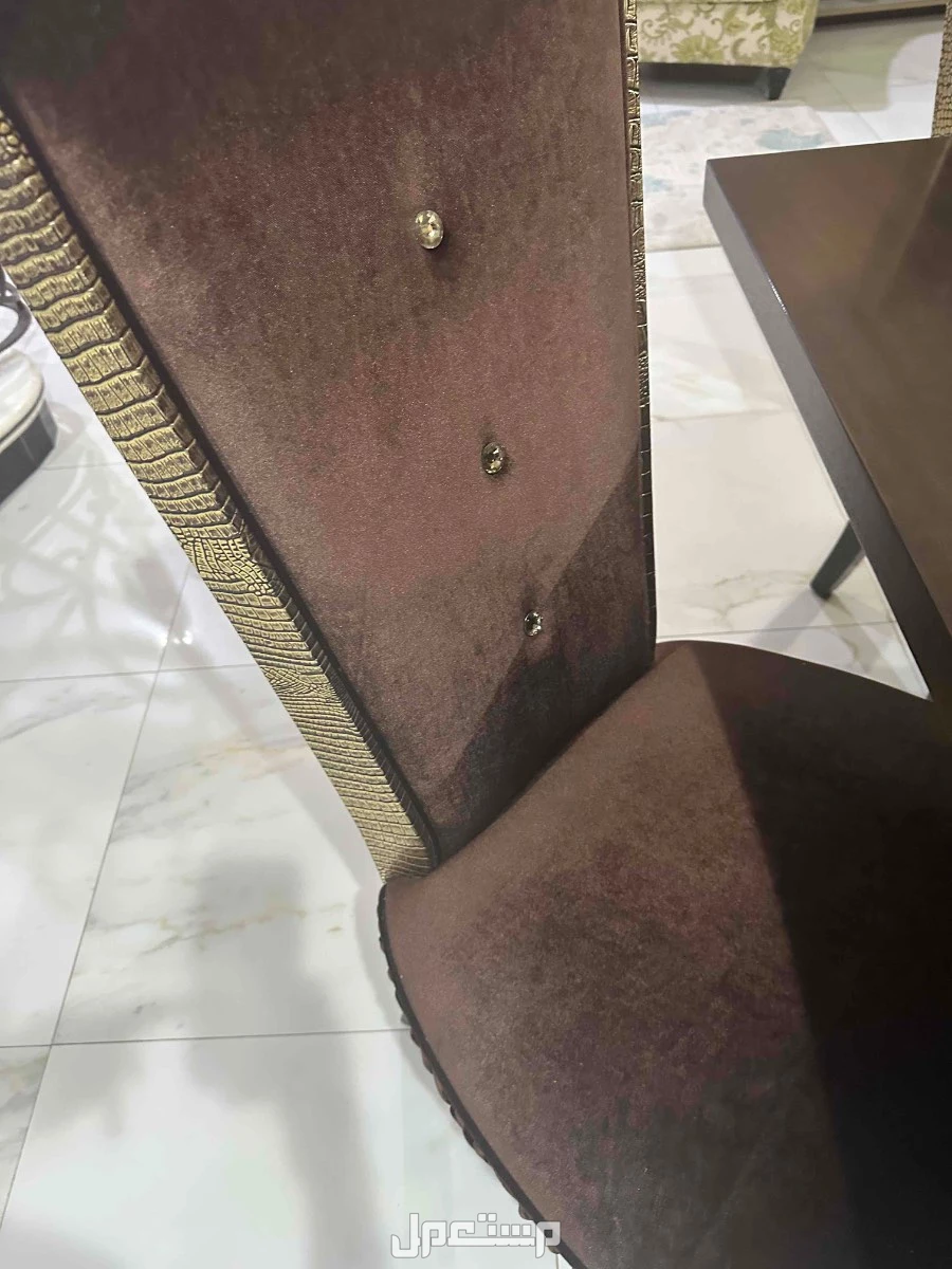 بريدة الريان طريق الامام البخاري
