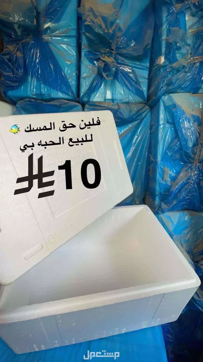 صندوق فلين للبيع مقاسات كبيرة في الجموم