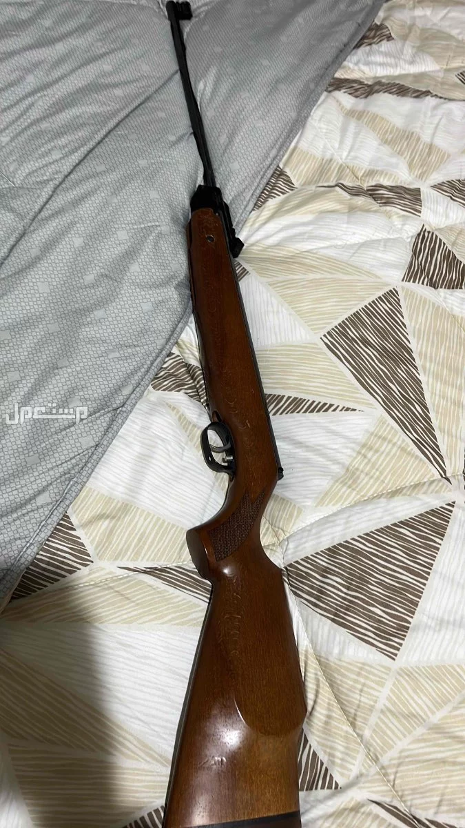 ساكتون هوايه تصريحه من ابن شويل السوم 1000