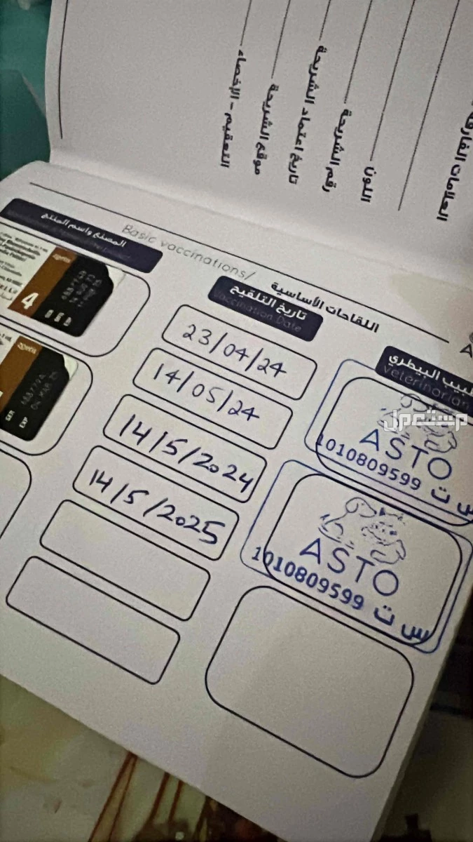 سكوتش برتش الرياض بـ600 ريال في الرياض بسعر 600 ريال سعودي