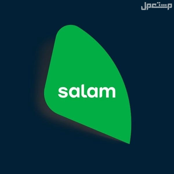 فايبر انترنت للمنازل (fiber optic to the home)