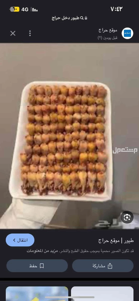 طيور الدخل دخل شحومي الطبق 100 حبة صغير