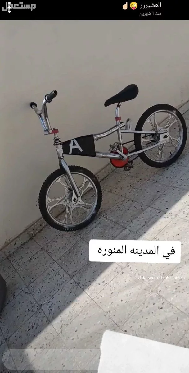 سيكل كوبرا مقاس 20 في المدينه المنوره  السوم يبد من 200