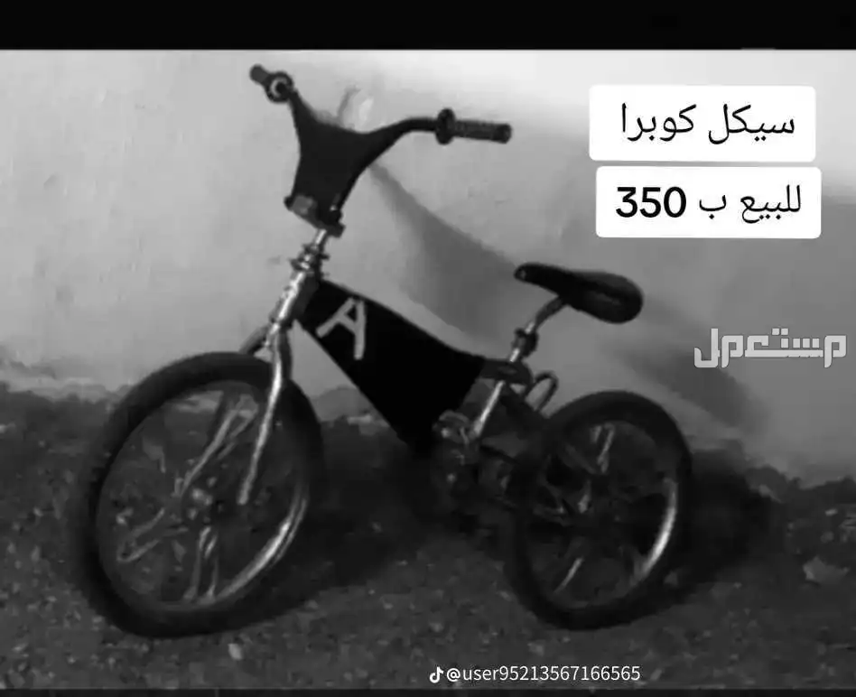 سيكل كوبرا مقاس 20 في المدينه المنوره  السوم يبد من 200