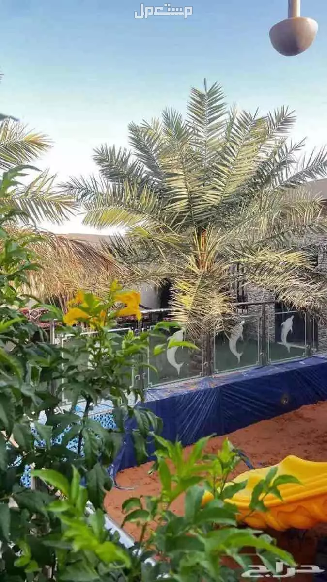 استراحة للإيجار  بسعر 350 ريال سعودي