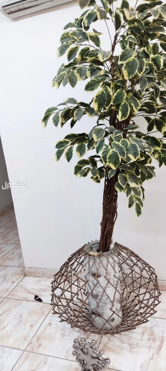 اثاث  في الرياض بسعر 3 آلاف ريال سعودي