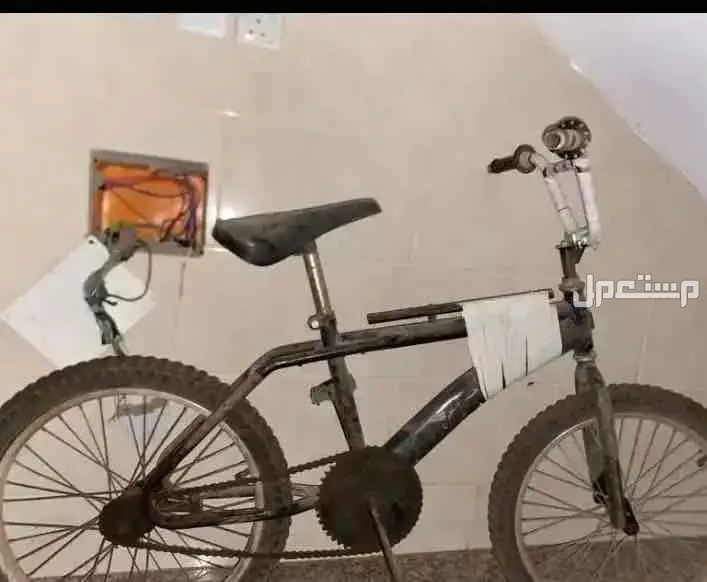 سيكل  في ينبع البحر الصامل يجي