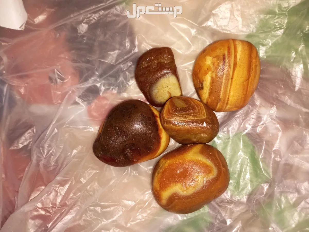عقيق في المدينة المنورة بسعر 500 ريال سعودي