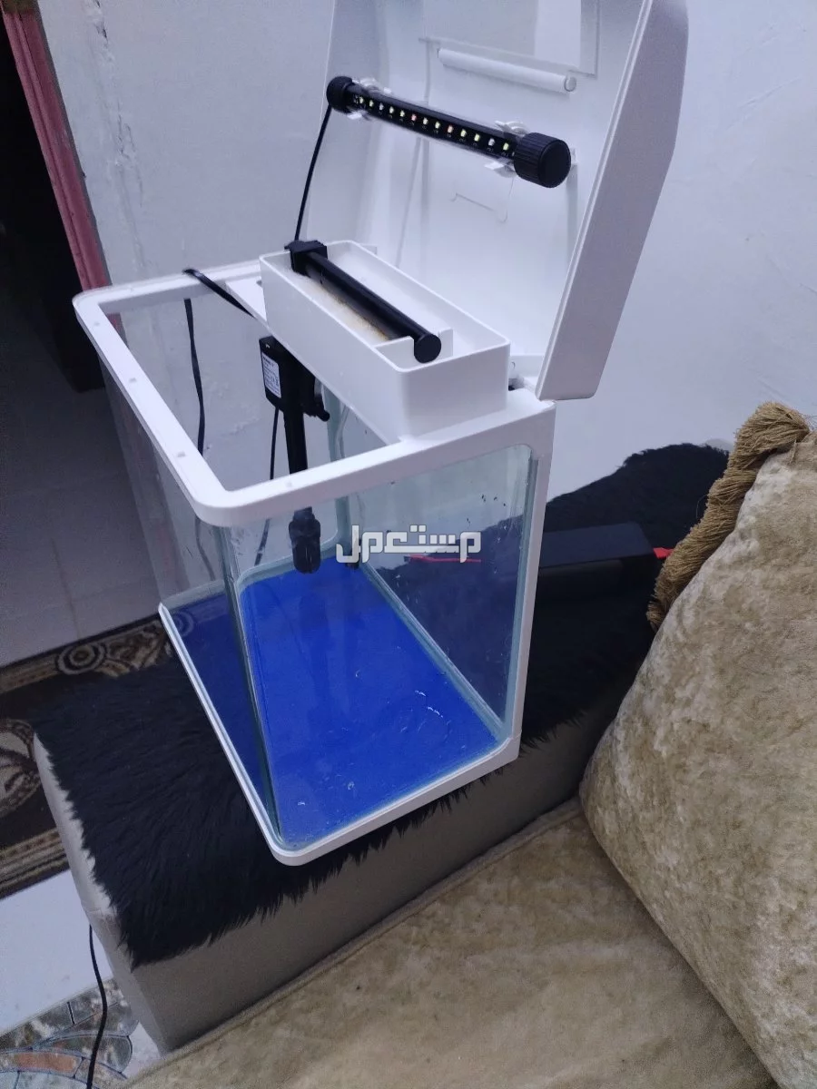 حوض اسماك وينفع للسلاحف البرمائية