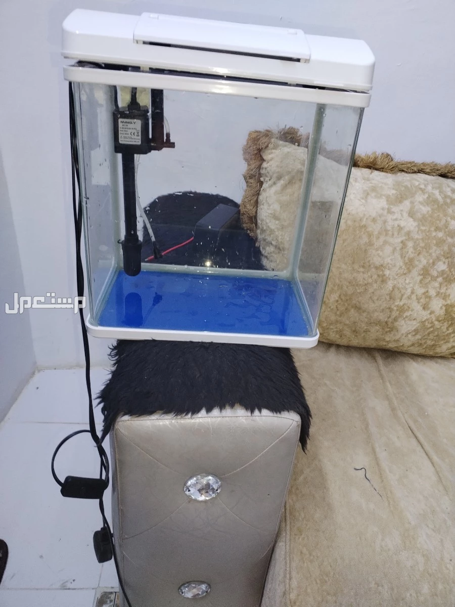حوض اسماك وينفع للسلاحف البرمائية